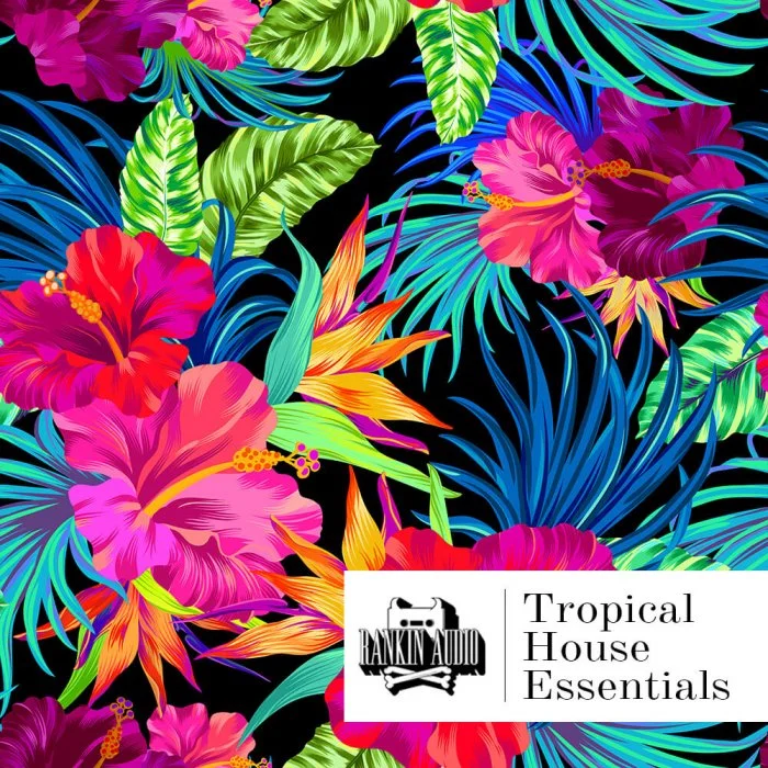 Rankin Audio – Tropical House Essentials (WAV) – VST CRACK