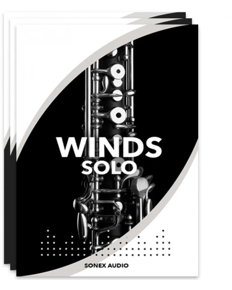 Sonex Audio – Woodwinds Solo (KONTAKT) – VST CRACK