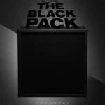 Otto Audio – The Black Pack (WAV) [IR library] – VST CRACK