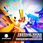 Dark Silence Sound Design – FESTIVAL KICKS VOLUME 1 (WAV) – VST CRACK