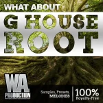 WA Production – G House Root (MIDI, WAV, SERUM, SYLENTH1) – VST CRACK