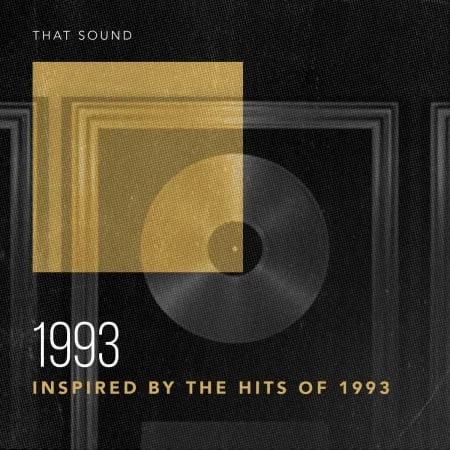 That Sound : 1993 WAV LOOP – VST CRACK